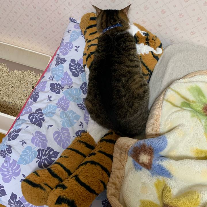 A0defdc4 5b8c 4c4a 9bbb f929e45762e9 1620141387008