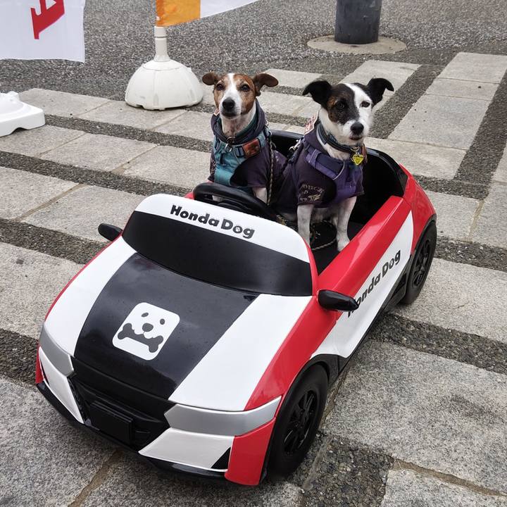 A0df116a 757a 4b37 99d4 003c0c124390 1760869400410