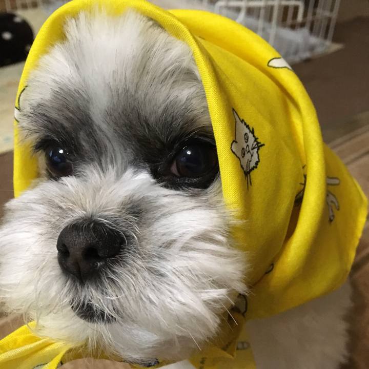 A0df151d 3d20 4e24 ac6d 5a6acf7d0c7e 1524836897238