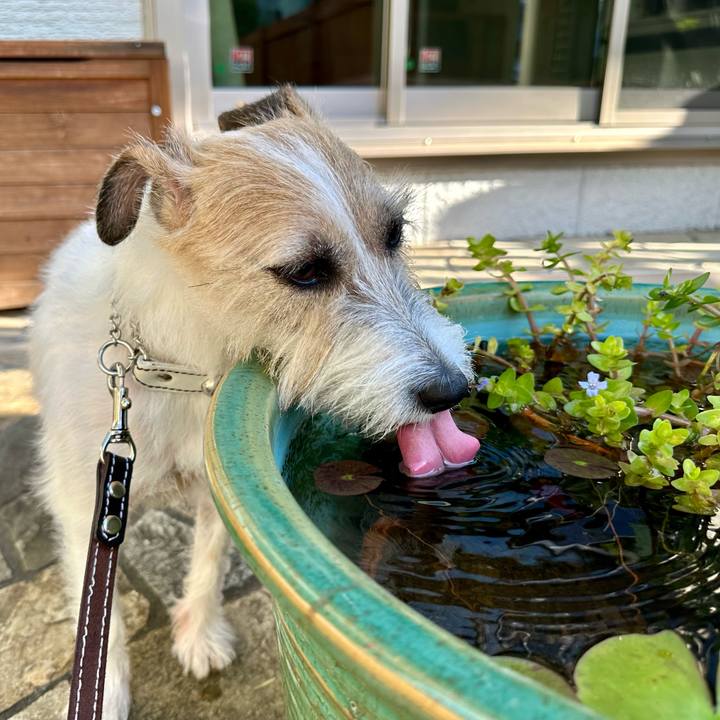 A0df451d 1559 4531 8d5a 6304714b9801 1728882230409