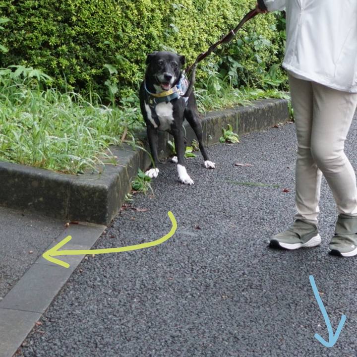 A0df4b1a e57c 436d 961a be40d292d0f8 1760576081854