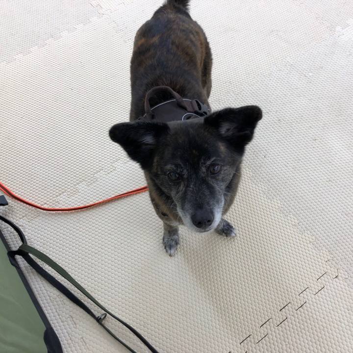 A0df6fb7 8edc 49b1 9dc6 6d0de686ef77 1624666095072