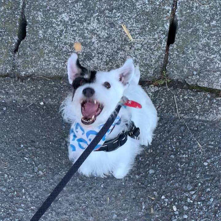 A0df7cee 7e74 4e4a 9f48 be4950872068 1757201817007