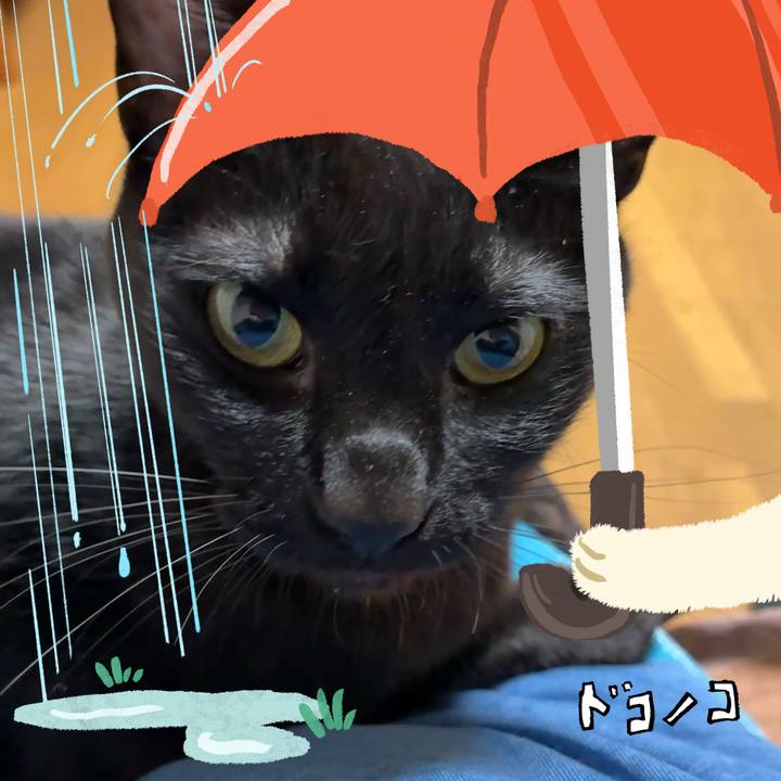 A0df9e4e bbfb 43ad b496 2f47dde7a453 1749298770329