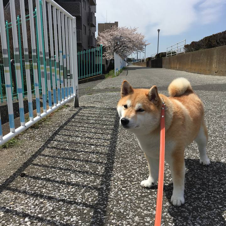 A0dfbacc c1a1 40d2 a40d 6159609dc636 1554435653029