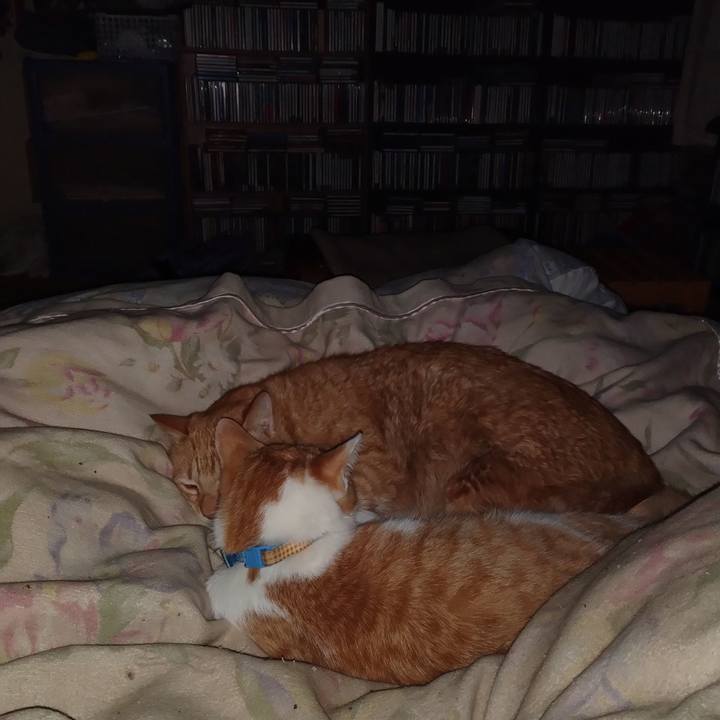 A0e00903 4edf 40db b9f0 65fdcbd73ace 1739463000545