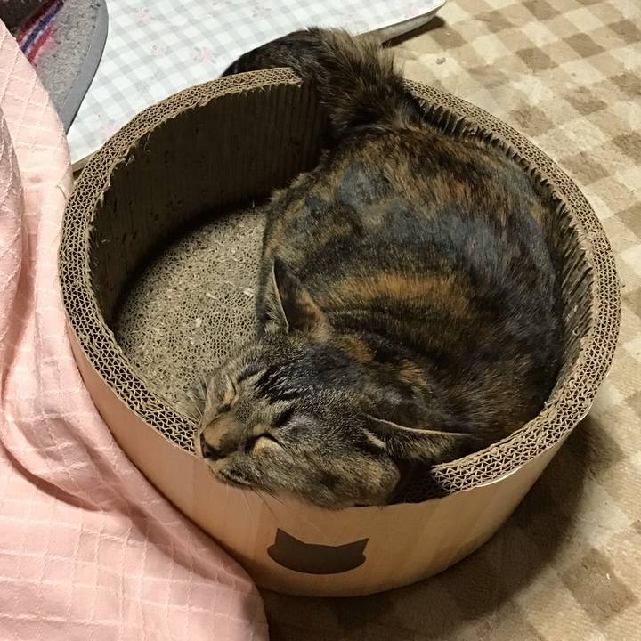 A0e01d88 9367 4c47 8917 0493492a24f9 1730885875220