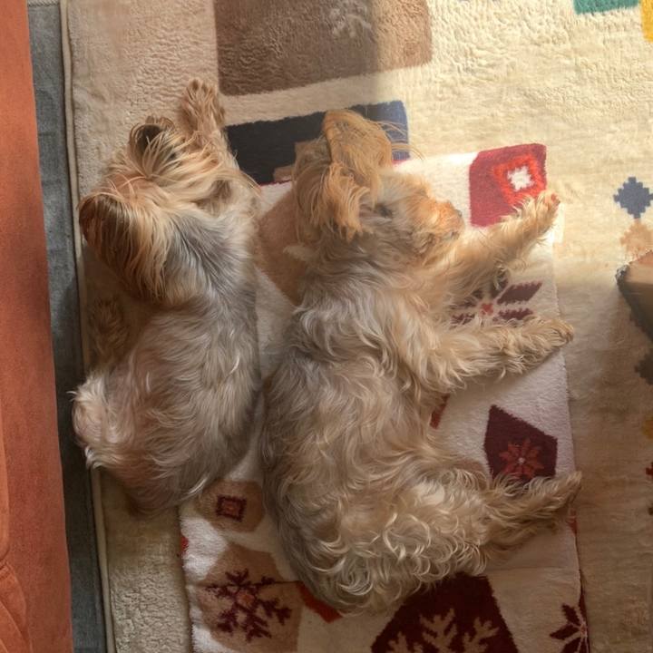 A0e02db7 2ef9 4d4b 83a1 16cb0002077d 1649581957903