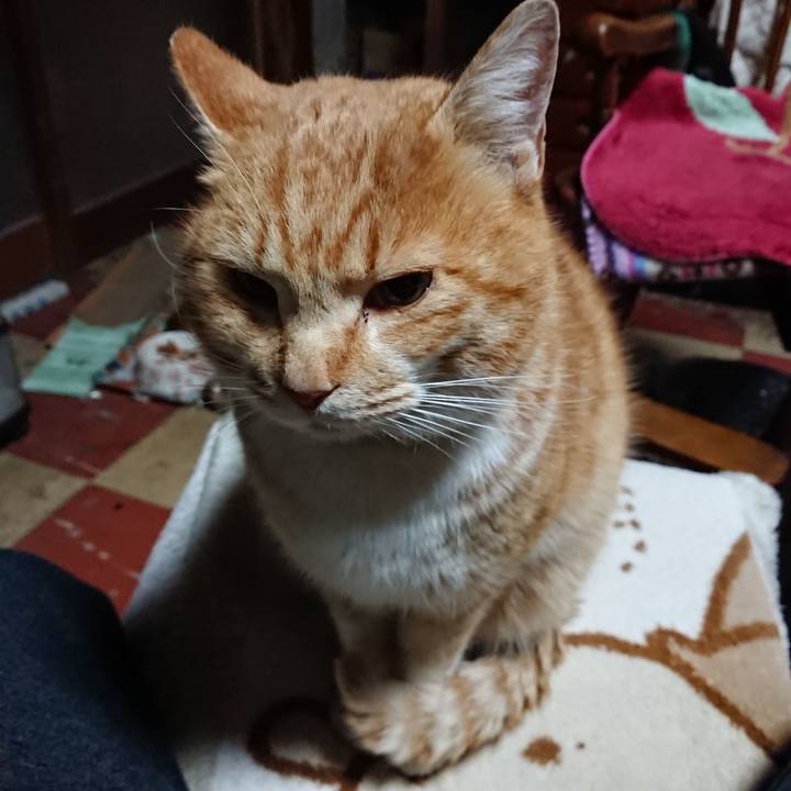 A0e042f8 90a4 4335 9342 10043ae00aac 1580932152146