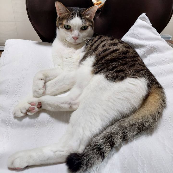 A0e04f79 e22f 460d a15a d582eedc8aad 1687299025887