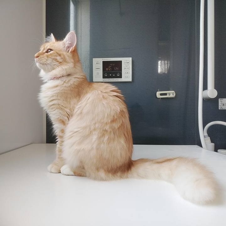 A0e082d1 ecbd 4a05 93c7 b6f8803b2942 1620544706211