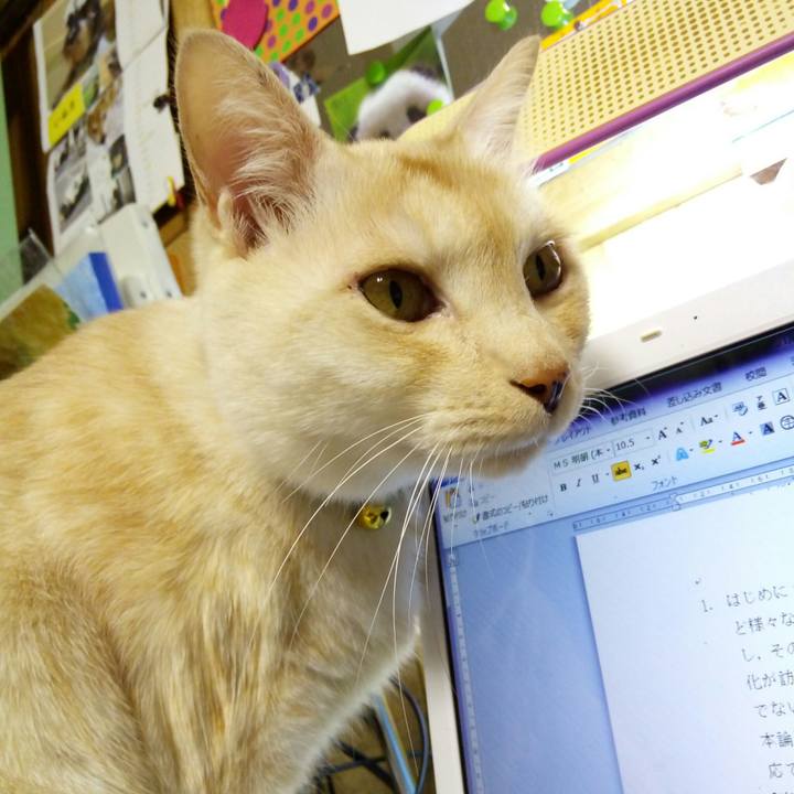 A0e08711 b238 40a2 bbe6 c6f767479354 1511273889090