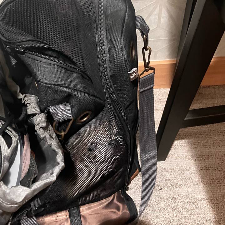 A0e09f1c cd1f 4730 92dd e910cbef6068 1758250586313