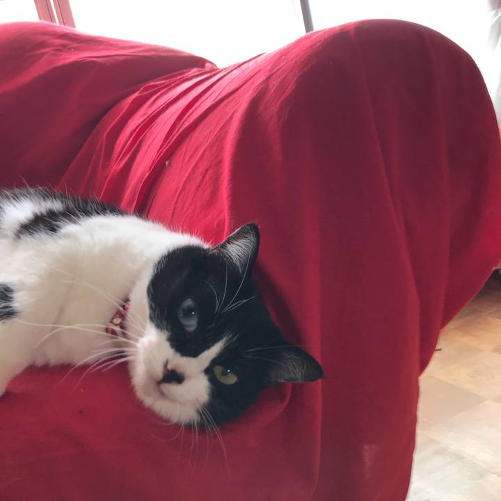 A0e0a099 05c1 4b27 8e2f f212fb68d132 1557460272124