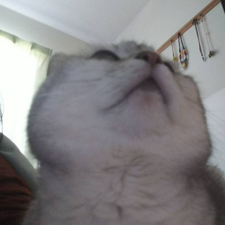 A0e0b1b6 9d09 4ef4 8ffd a29161147797 1524807985824