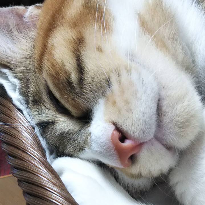 A0e0e9d9 eb6b 4c2d a69e ddcd5d925d16 1697325191586