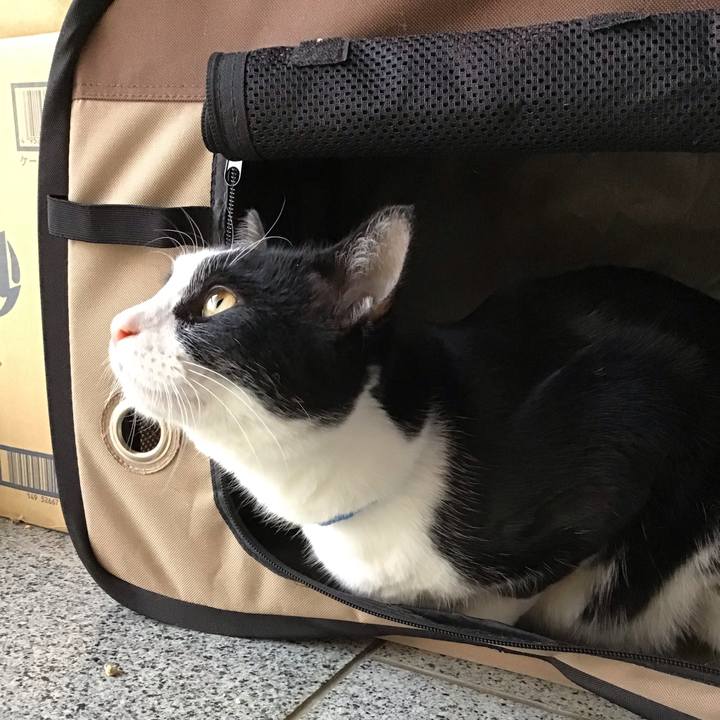 A0e0f1ef be81 46e5 b839 7c5c712b3153 1673260381067