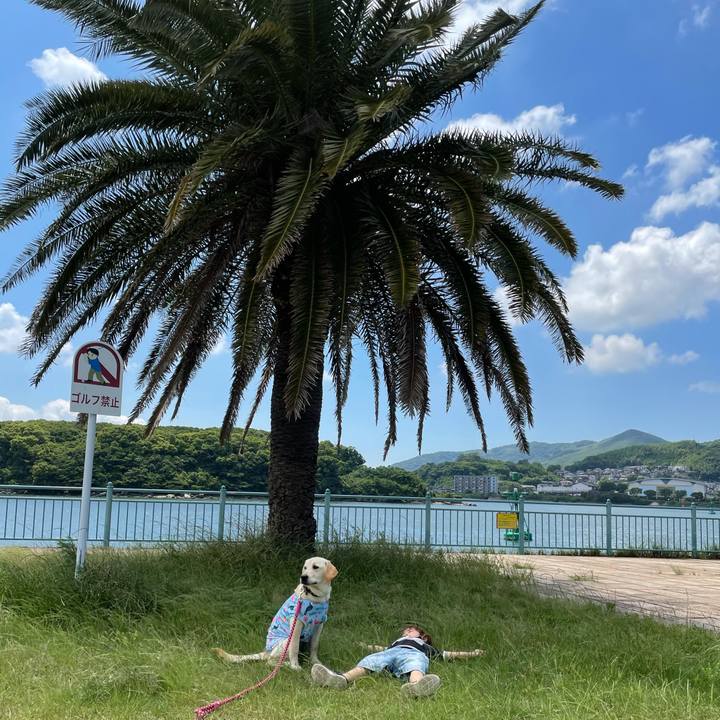 A0e0f826 322a 4dcf 81c7 9da04d252048 1621672746715