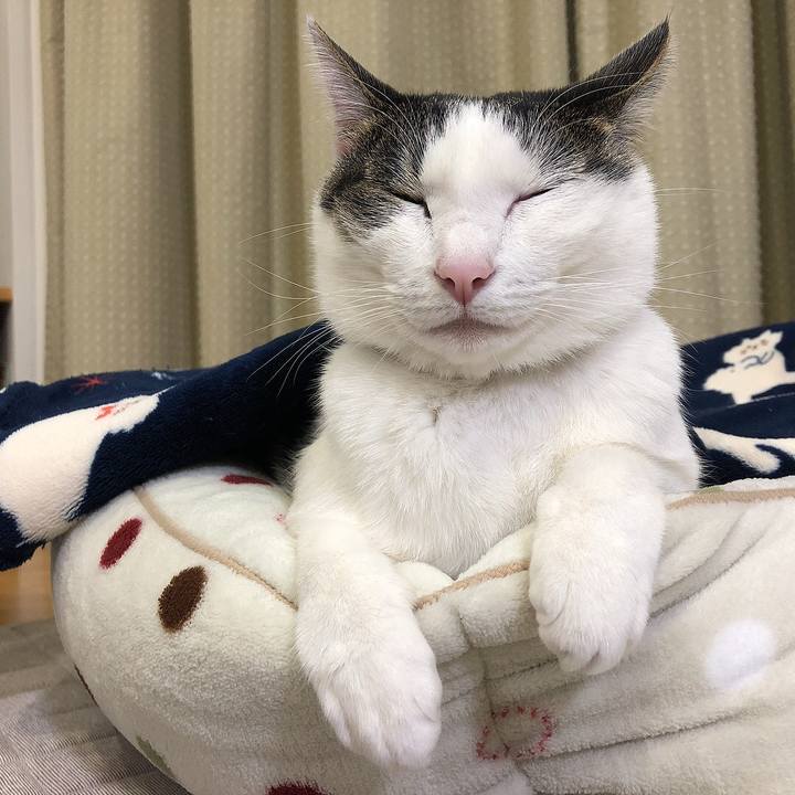 A0e0f944 4381 4dd0 b828 cf3055fedfab 1639743312719