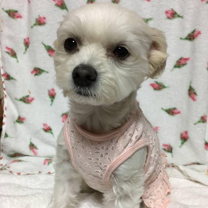 A0e11025 19ff 4ee9 a894 ac90139a6349 1508574384061