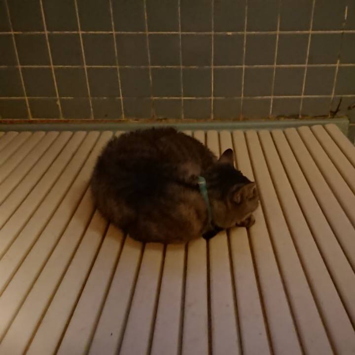 A0e1a37e ffc5 44ac b57e 3ef300d140b2 1569528802629