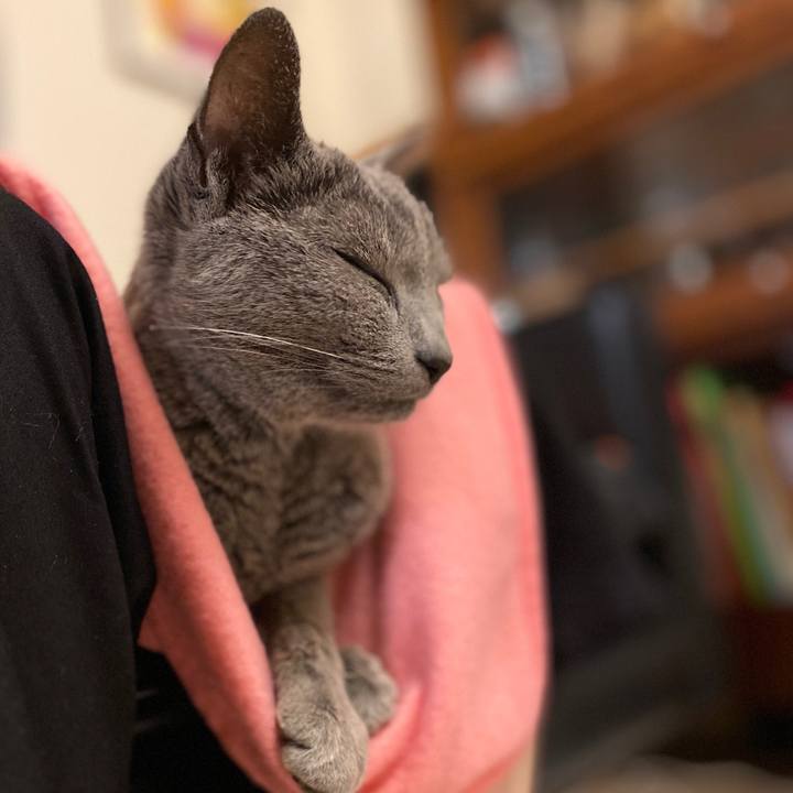 A0e1ae1a 054c 4e56 bbf1 b4d678fa2bed 1591183352783