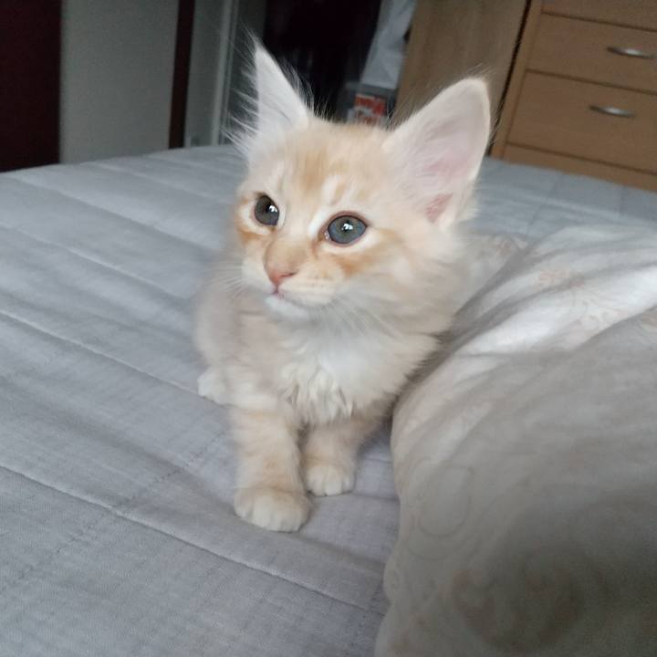 A0e1bbb0 c6e6 477e a3a2 f869021c5d53 1602886397587