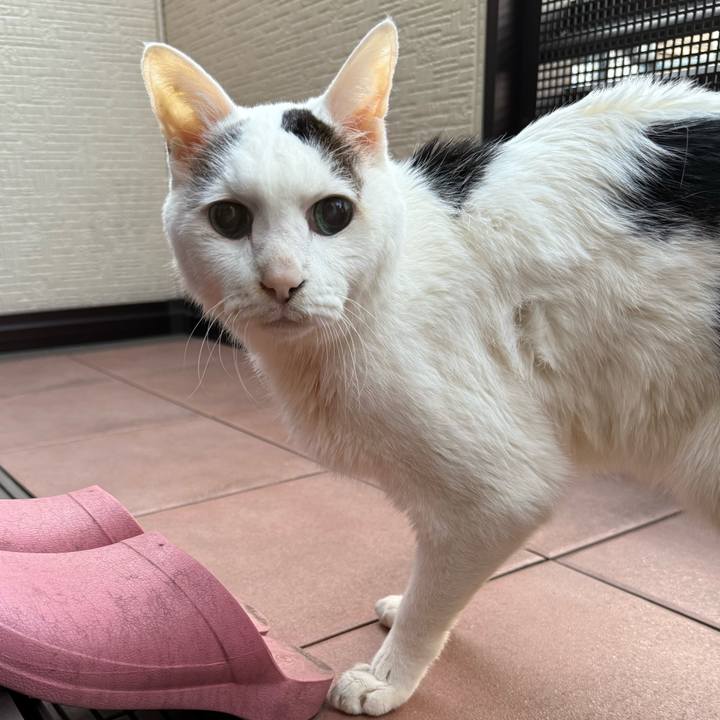 A0e1d959 6eeb 4043 b2ed 55692e845d67 1771144277189