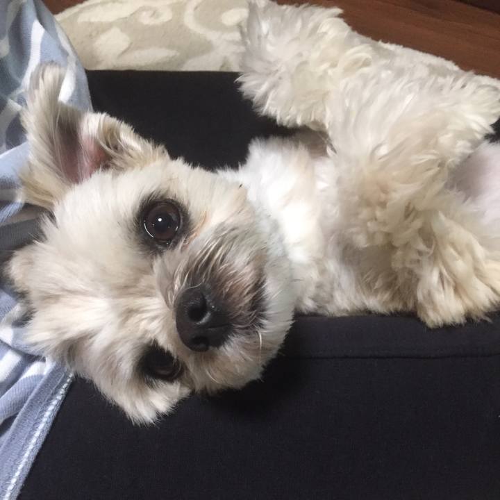 A0e1dfa9 f385 4d9b 8a63 a07902d6c7be 1557745660430