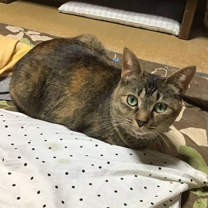 A0e1e0b6 269f 4a76 b153 59fa5ab20b6d 1652431583285