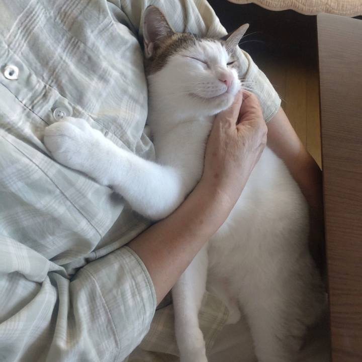 A0e2127b ff16 4fbc 8668 67293860217b 1757996934265