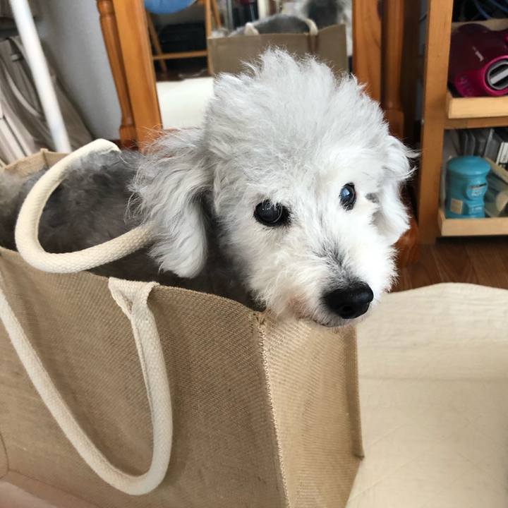 A0e237cb 026d 457a 99ac 83714d5626fa 1628641773029