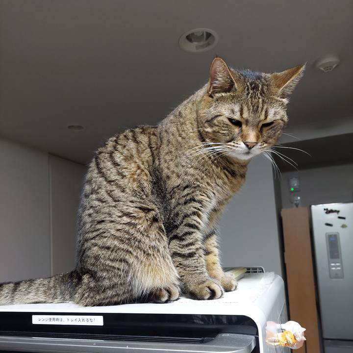 A0e24252 a359 4537 a4d8 9dd00e8c9665 1634593144076