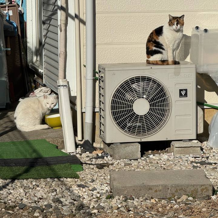 A0e26942 d4d4 4929 8d44 655648c3674b 1769136077269