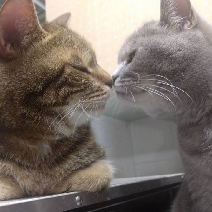 A0e271f6 4049 44ff 8c0b 5ff55937c7f2 1525180064206