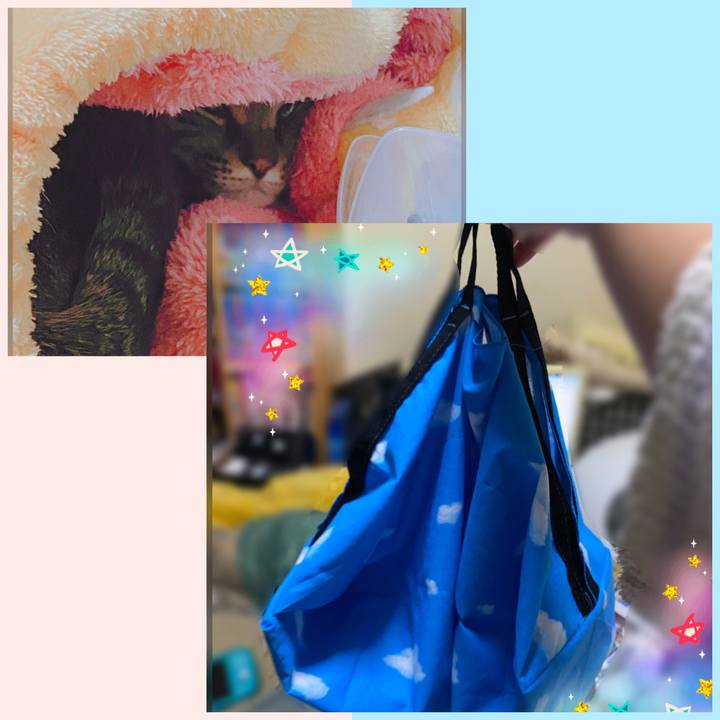 A0e29a20 8908 4730 857c fecec53dd480 1605842388928