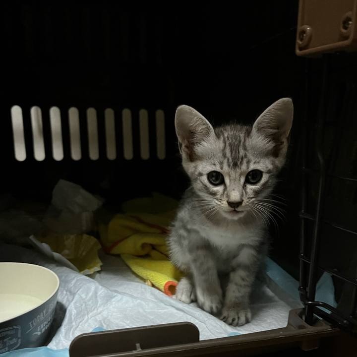 A0e2ad52 d9a1 4d61 9b5e 5367b6c3ad1a 1726639905472