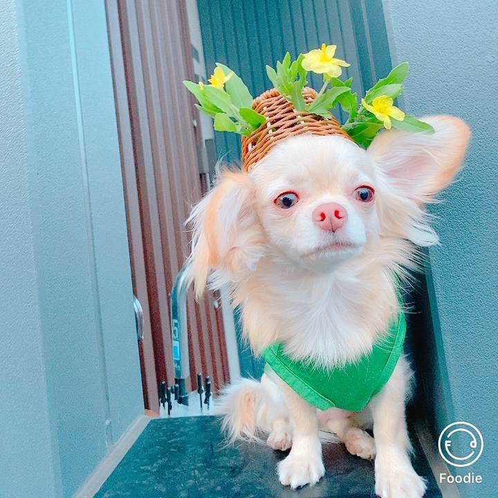 A0e2bcc8 102f 45d4 a94d cb4d30858689 1623040957892