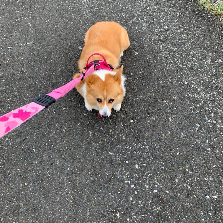 A0e2bf8d ad73 49d9 b8fd 76ce0d1efad1 1629765947473