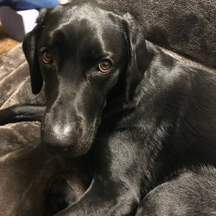 A0e30020 07cb 4700 9fb1 68a8cddbb2a8 1517046602402