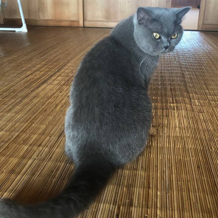 A0e30fa8 f1b7 4287 9c05 1c29d439a38e 1568614179199