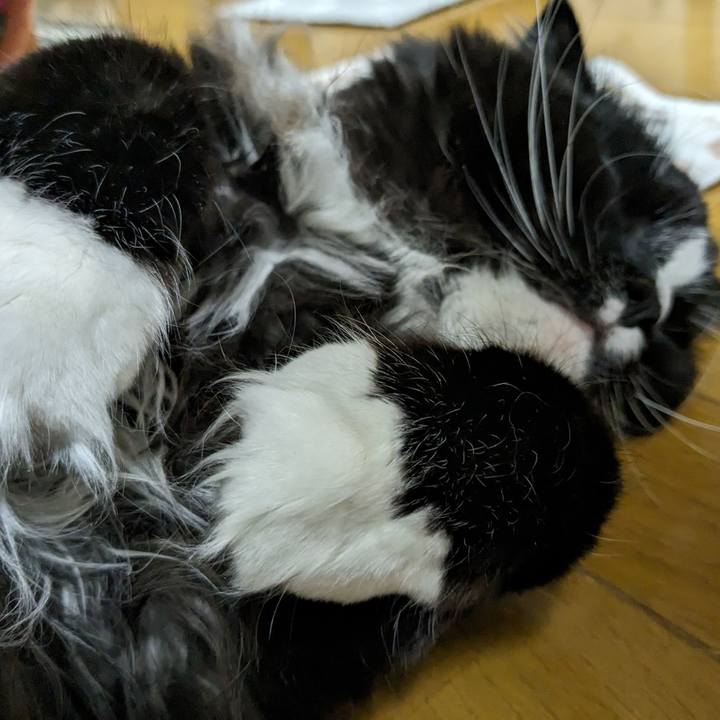 A0e328d5 85db 42a0 96c6 d062d0092da0 1710022720321