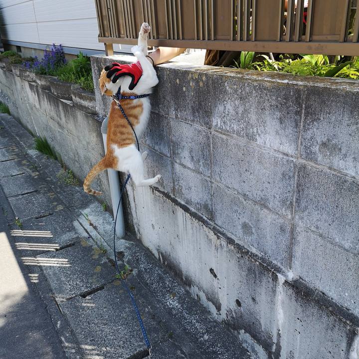 A0e34986 29cd 4515 85f7 db3ab2d98128 1557662748598