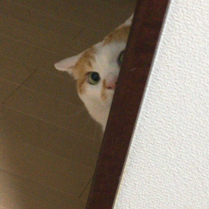 A0e38a94 e1e7 498e bde3 d710eeeb9ae8 1517581504945