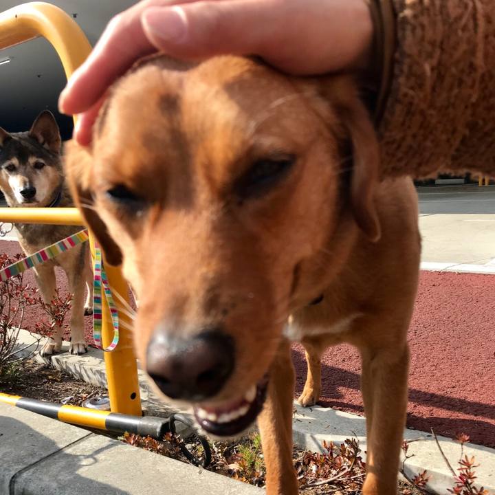 A0e39dda 0a42 471d b49c 8cd5691e4dd7 1550128713710