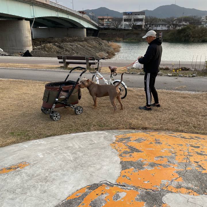 A0e3b9d2 dbff 46a2 b150 7558e0eb260b 1674210703196