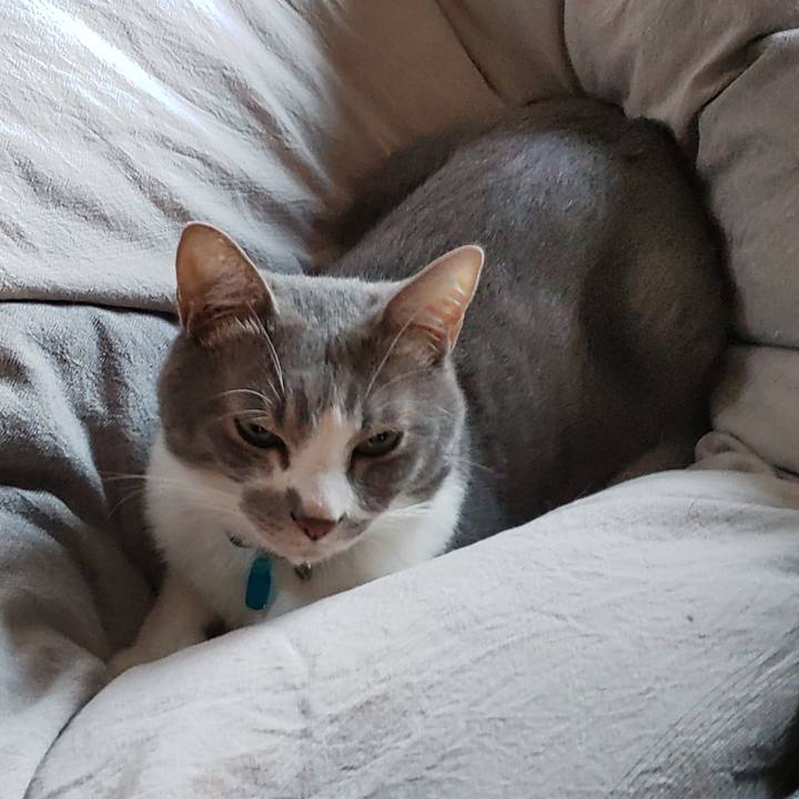 A0e3ecb9 712b 4a28 9631 eaa5224d78ed 1701121895563