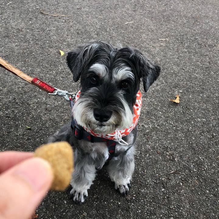 A0e4248e 2373 4b88 bb26 c2a268e35c5b 1660398261255