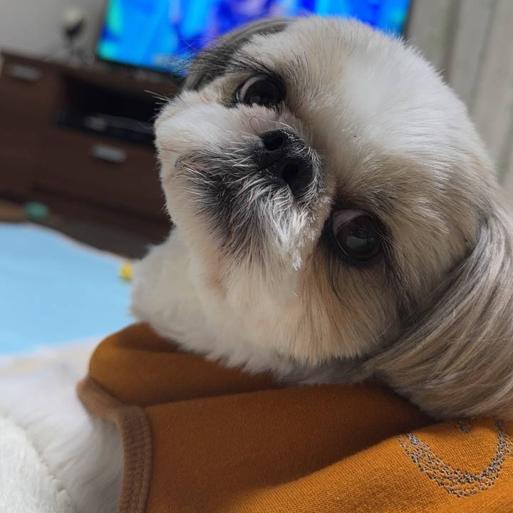 A0e42eae 9388 4a63 848e e28ae763a3eb 1735394625571