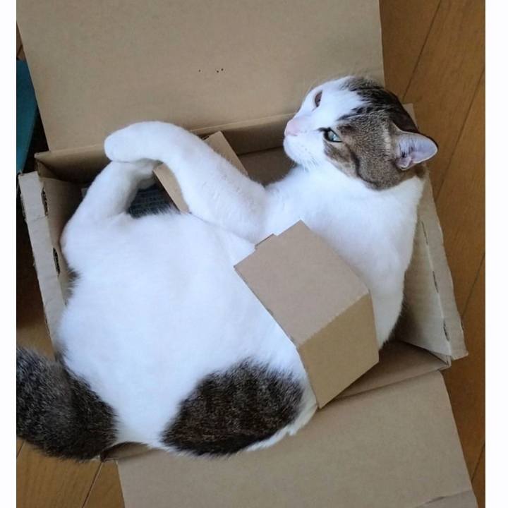 A0e42f66 4fff 45a6 808f 17f540e638d8 1758933678002